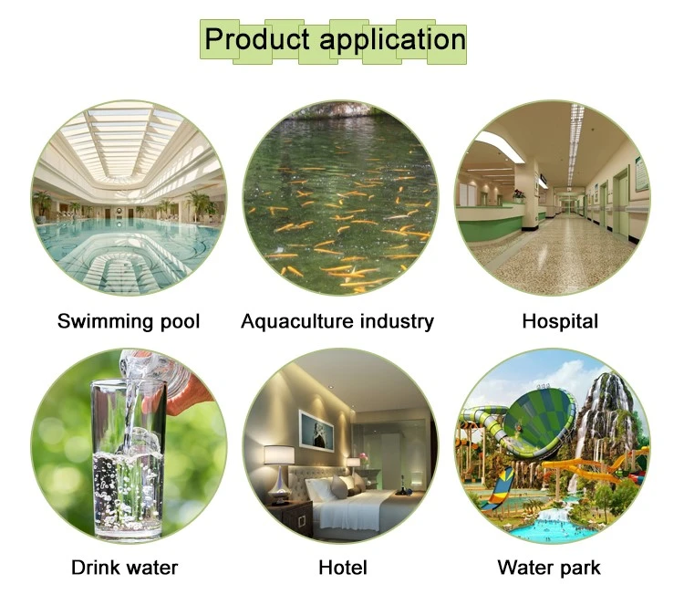 Powder Trichloroisocyanuric Acid TCCA 90% For Swimming Pool Powder Trichloroisocyanuric Acid TCCA 90% For Swimming Pool