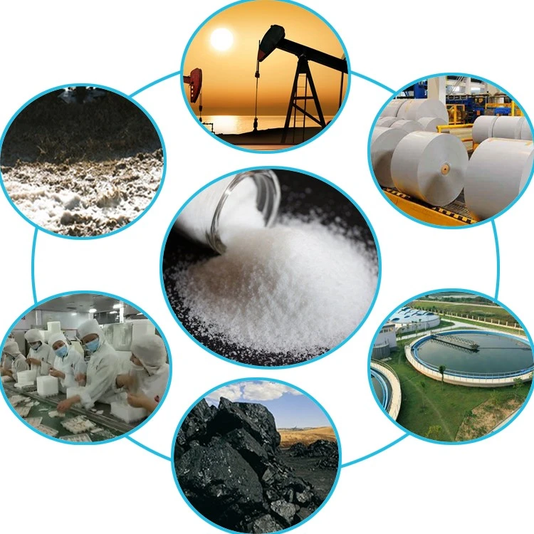 White Granule Powder Anionic PAM Polyacrylamide (2)