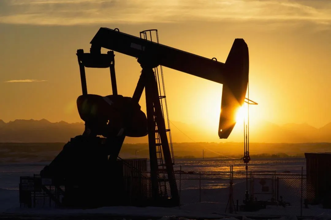 oil