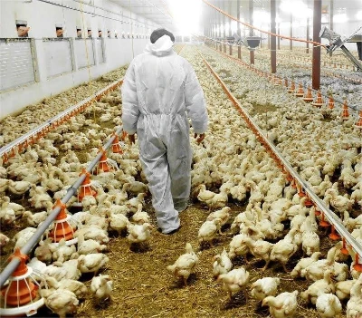maxresdefault maxresdefault