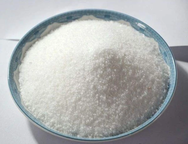 R-C 19
