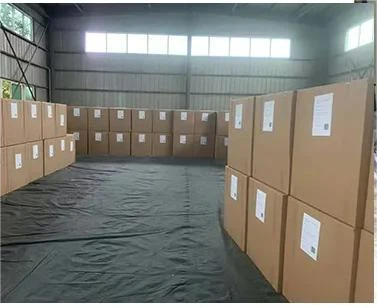 product-377-308 product-377-308