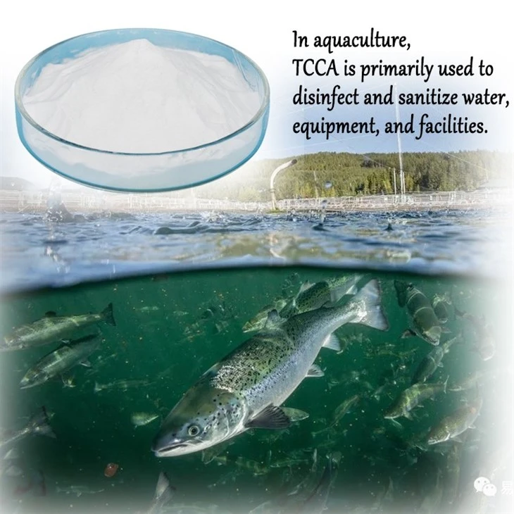 90% Trichloroisocyanuric Acid (TCCA) Disinfectant Tablets