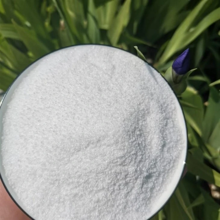 Waste Water Treatment Anionic Powder Polyacrylamide PAM