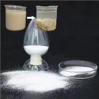 Kationisches teilweise hydrolysiertes Polyacrylamid