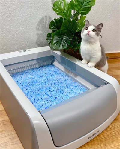 Tofu-Katzenstreu, kostenlose Probe, Reinigungsmittel für Haustiere, Großhandel mit Kieselgel-Katzenstreu