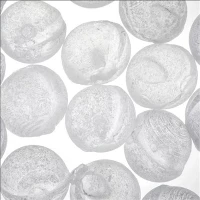 Wasseraufbereitung 1 mm 3 mm 6 mm 10 mm 20 mm Granular Siliphos Polyphosphat Kristall RO Antiscale Kugeln
